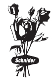 Blumen Schnider